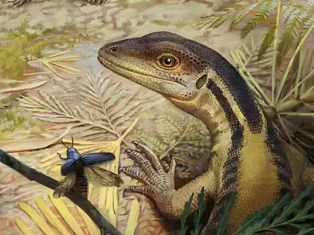 So könnte ein Reptil ausgesehen haben, das ein Vorfahr aller heutigen Reptilien war. (Illustration) - Foto: -/Universität Tübingen/dpa