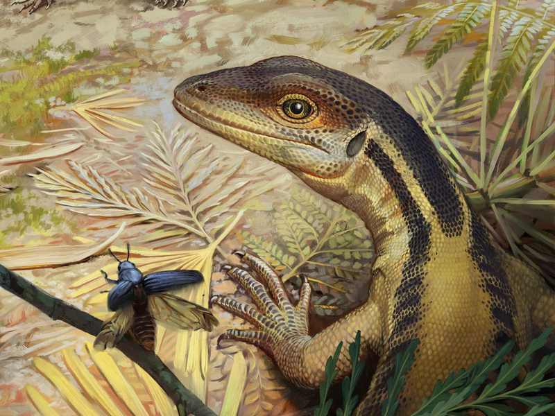 So könnte ein Reptil ausgesehen haben, das ein Vorfahr aller heutigen Reptilien war. (Illustration) - Foto: -/Universität Tübingen/dpa