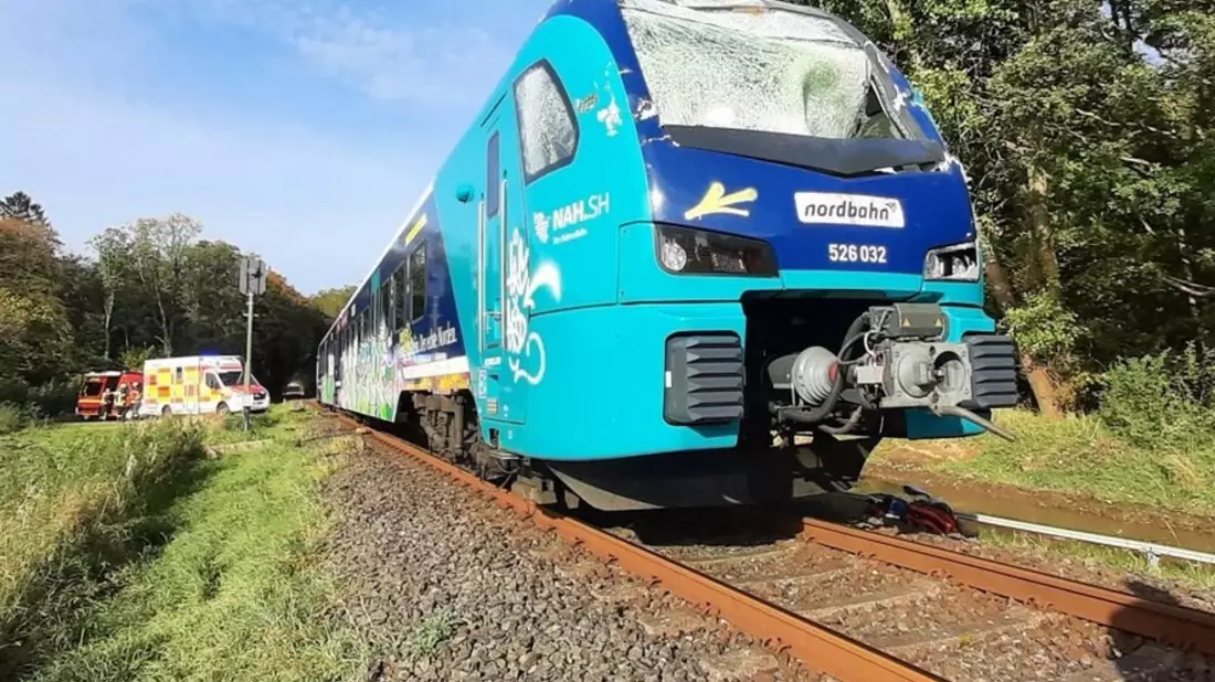 BPOL-FL: Hohenwestedt - Zug kollidiert mit Baum - Bild: presseportal.de