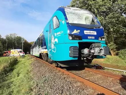 BPOL-FL: Hohenwestedt - Zug kollidiert mit Baum - Foto: presseportal.de