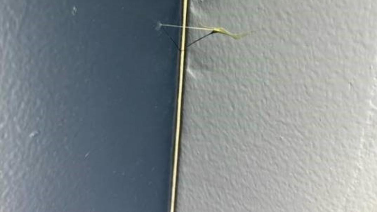 POL-HH: 241015-3. Tipps und Hinweise der Polizei zur dunklen Jahreszeit - Foto: presseportal.de