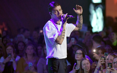 Mit One Direction verkaufte er 70 Millionen Platten. (Archivbild) - Foto: Jens Kalaene/dpa