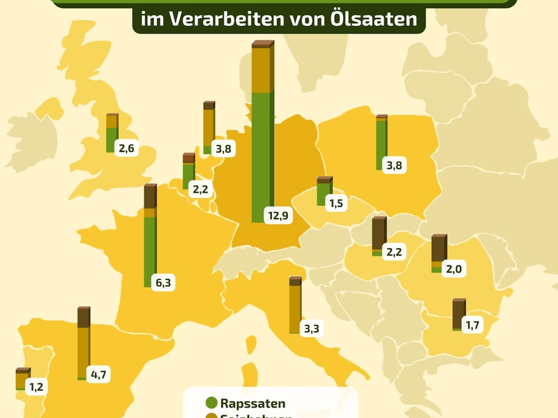 Ölsaatenverarbeitung: Deutschland ist Europameister - Foto: presseportal.de
