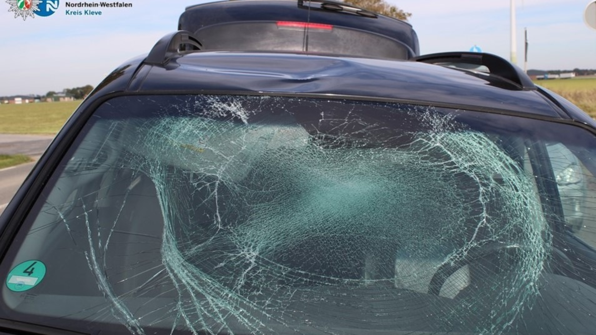 POL-KLE: Kreis Kleve - Sturzgeschehen mit dem Fahrrad: Warum die Polizei empfiehlt einen Fahrradhelm zu tragen - Foto: presseportal.de
