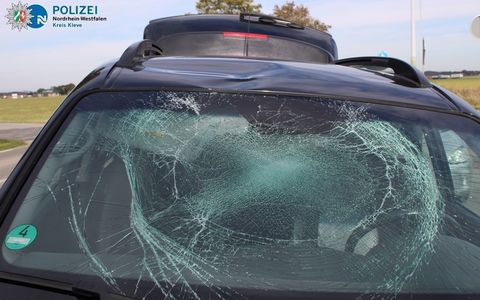 POL-KLE: Kreis Kleve - Sturzgeschehen mit dem Fahrrad: Warum die Polizei empfiehlt einen Fahrradhelm zu tragen - Foto: presseportal.de