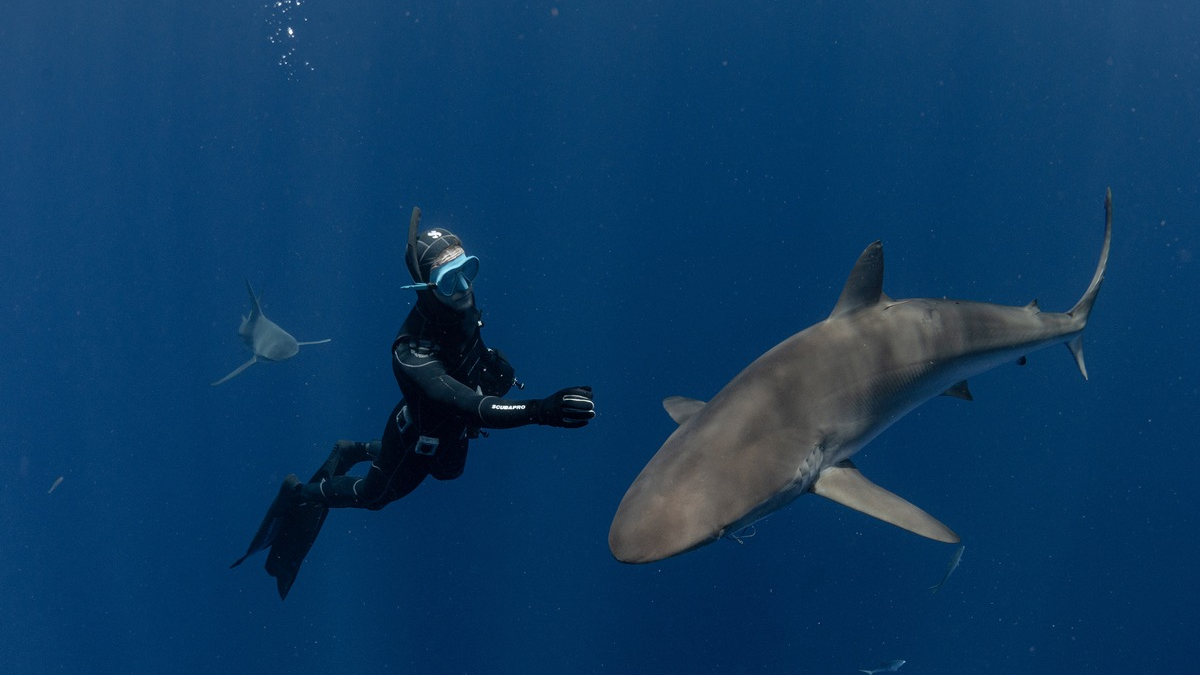 POL-MS: Neuer Bezirksbeamter für Berg Fidel, Düesberg und Vennheide - Start im September - Foto: presseportal.de