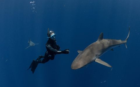 POL-PDKO: Antrittsbesuch des neuen Bezirksdienstes: Polizei Simmern und Verbandsgemeinde Kastellaun setzen auf Bürgernähe - Foto: presseportal.de
