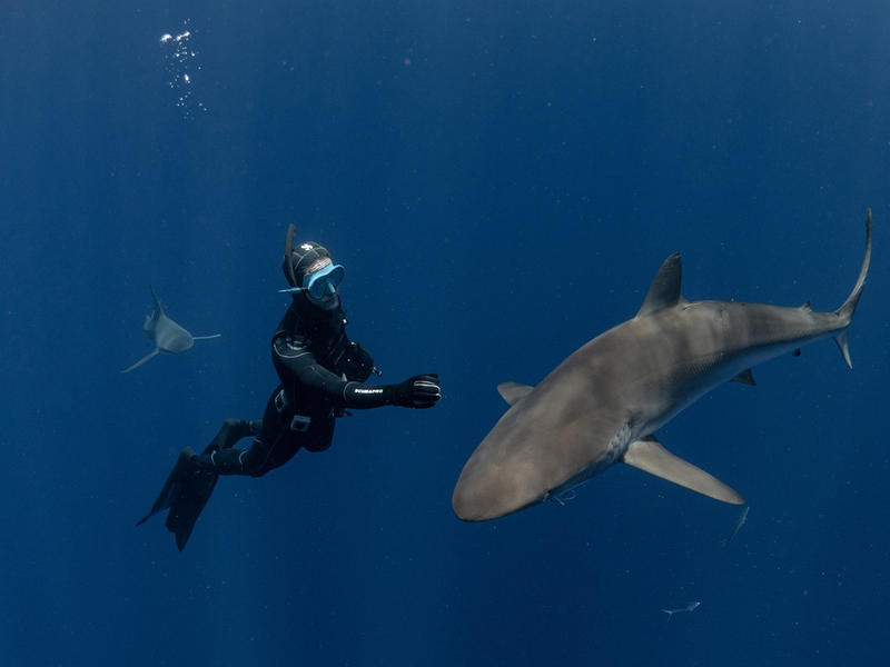 POL-PDKO: Antrittsbesuch des neuen Bezirksdienstes: Polizei Simmern und Verbandsgemeinde Kastellaun setzen auf Bürgernähe - Foto: presseportal.de