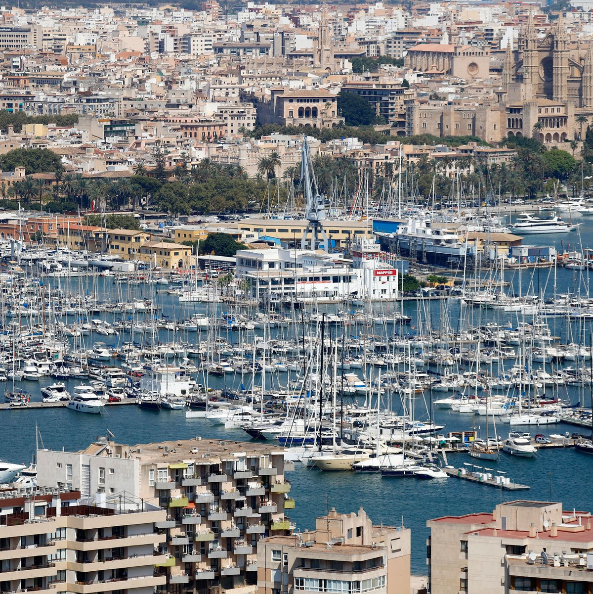 Die junge Frau verschwand in der Nähe des Jachthafens. (Archivbild)  - Foto: Clara Margais/dpa