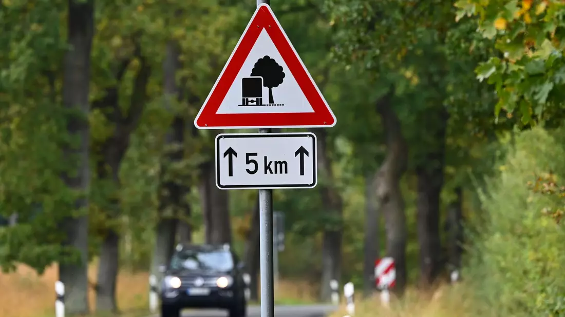 Eine Allee hat zu jeder Jahreszeit einen anderen Reiz. - Bild: Uwe Zucchi/dpa