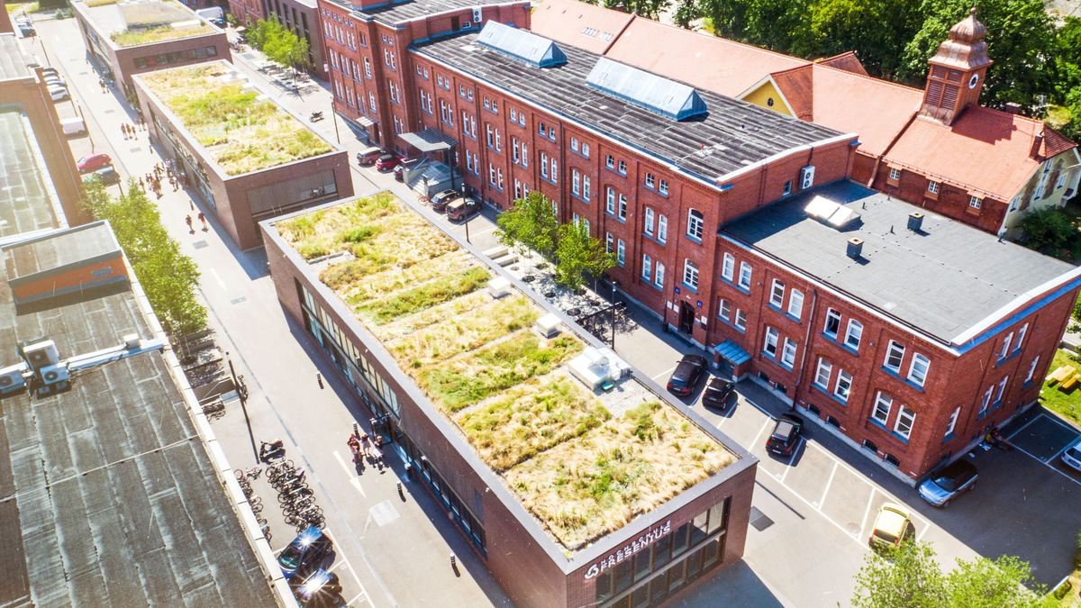 Personalisierte Therapie bei Depressionen: Die Rolle von Misshandlungserfahrungen in der Kindheit - Foto: presseportal.de