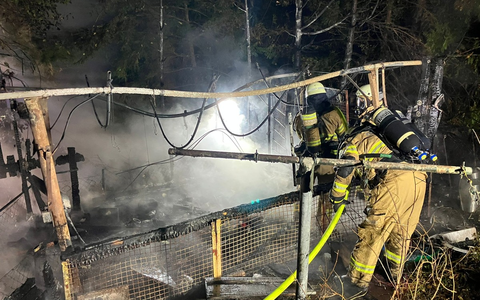 FW-GL: Heckenbrand entpuppt sich als Brand einer Obdachlosenbehausung - Foto: presseportal.de