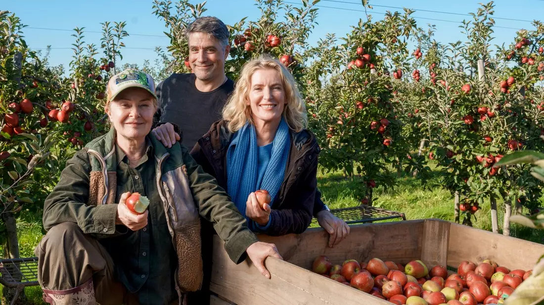 Neuer NDR Tatort aus Niedersachsen: Charlotte Lindholm (Maria Furtwängler) ermittelt im Alten Land - Bild: presseportal.de