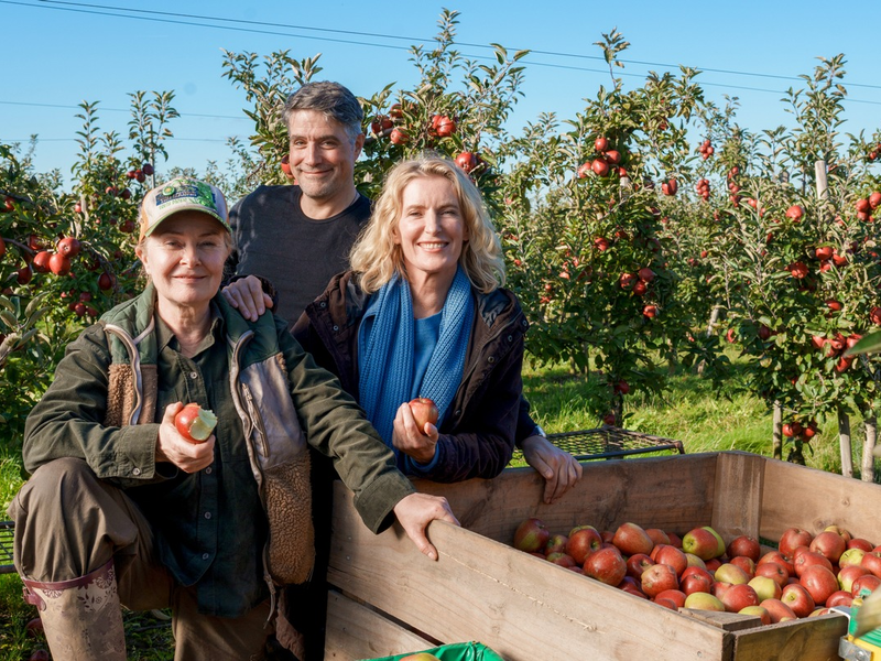 Neuer NDR Tatort aus Niedersachsen: Charlotte Lindholm (Maria Furtwängler) ermittelt im Alten Land - Foto: presseportal.de