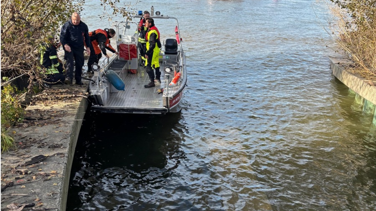 FW-BN: Feuerwehr rettet Hund aus dem Rhein - Foto: presseportal.de