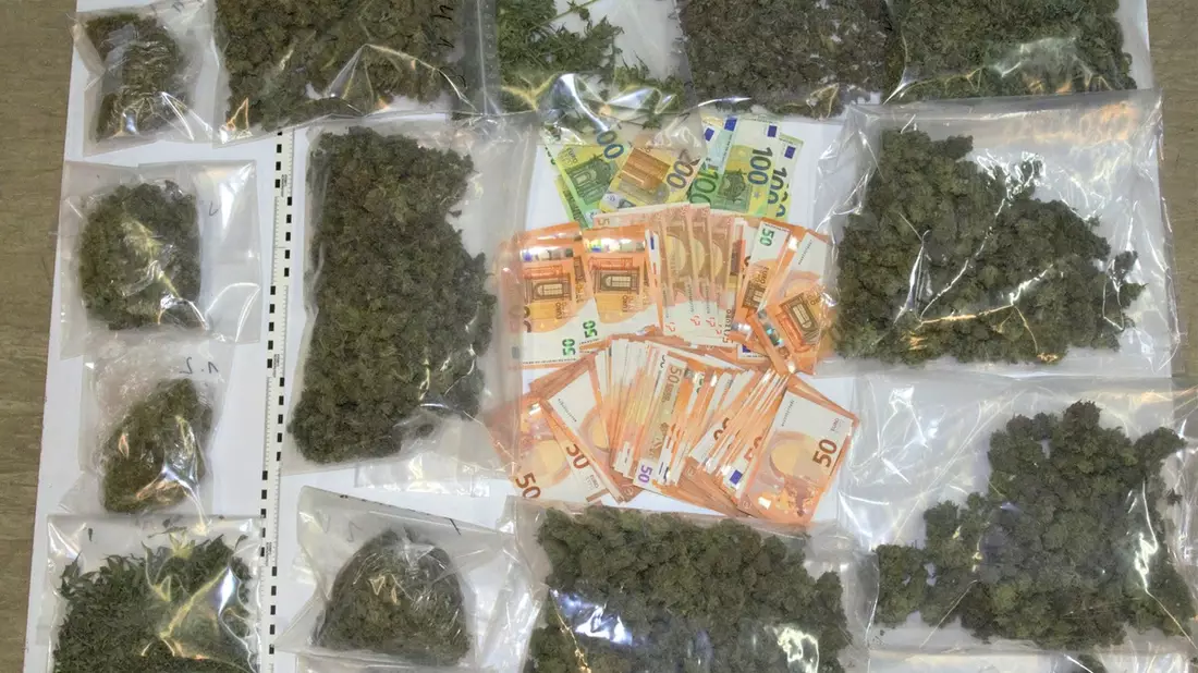 POL-HM: Gemeinsame Pressemitteilung der Staatsanwaltschaft Hildesheim und des Polizeikommissariats Holzminden zur Sicherstellung großer Mengen Cannabis - Bild: presseportal.de