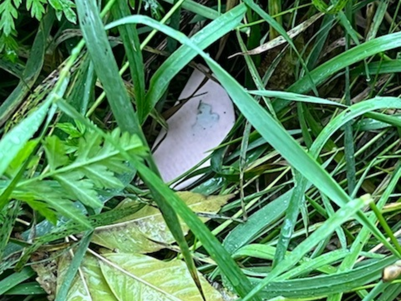 POL-CLP: Einzelmeldung Polizei Cloppenburg Köder mit Rasierklingen in 49632 Essen aufgefunden. - Foto: presseportal.de