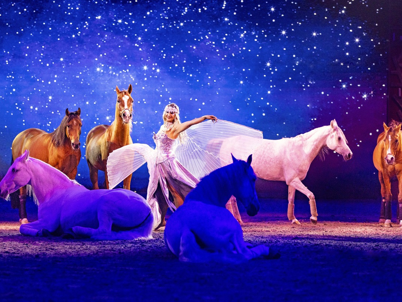 CAVALLUNA - Grand Moments: Europas größte Pferdeshow feiert erfolgreiche Premiere - Foto: presseportal.de