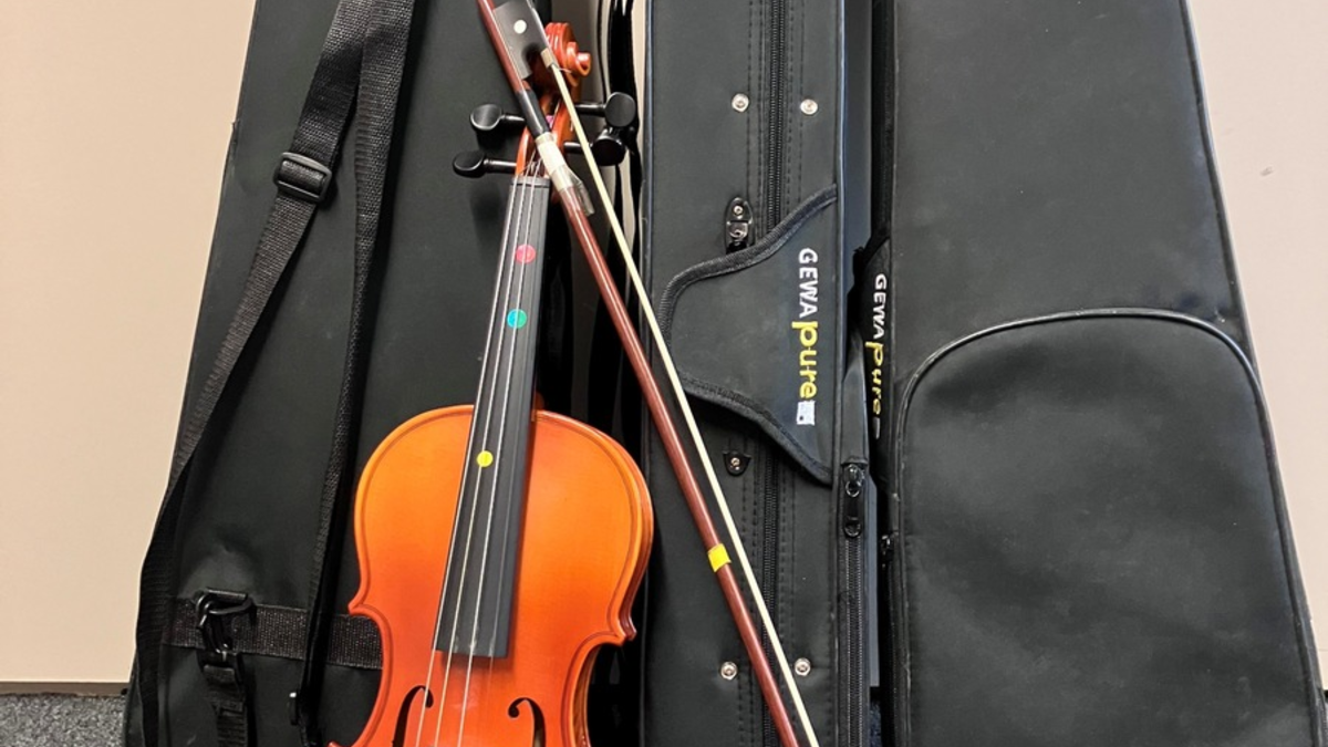 POL-BO: Drei Geigen im Gebüsch - Diebstahl? - Foto: presseportal.de