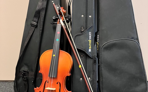 POL-BO: Drei Geigen im Gebüsch - Diebstahl? - Foto: presseportal.de