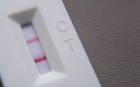 Derzeit stecken sich viele Menschen mit der Covidvariante XEC an. (Symbolbild) - Foto: Sebastian Gollnow/dpa