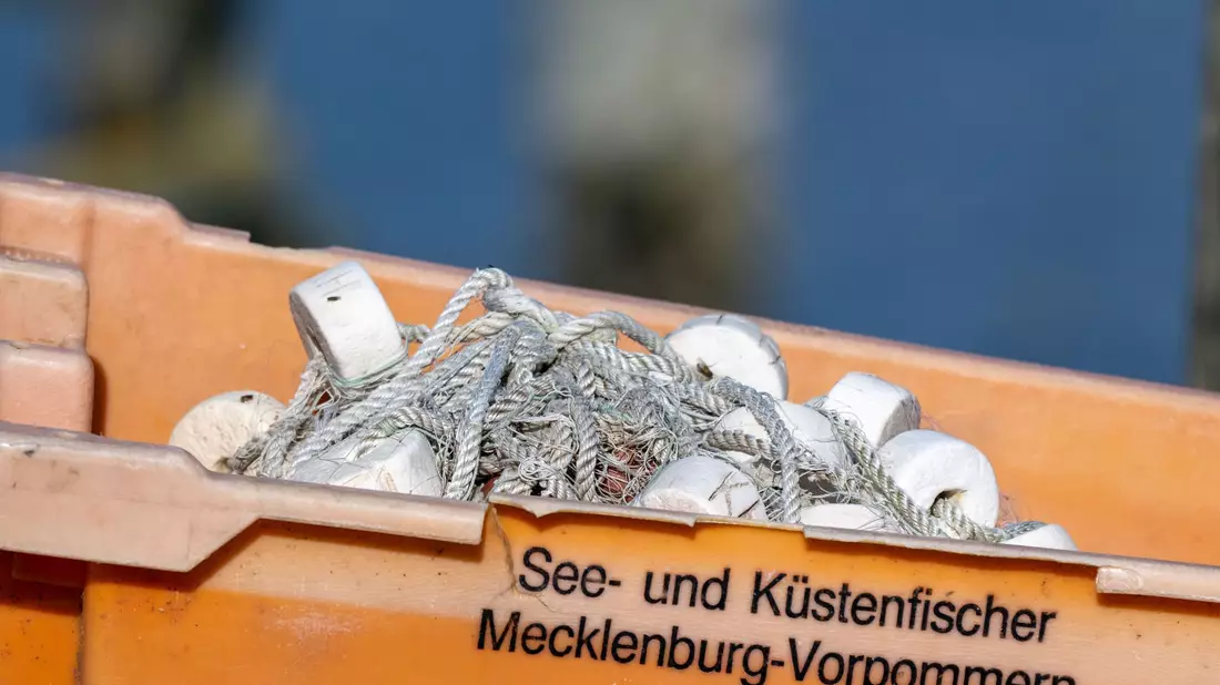 Keine Hiobsbotschaft aus Luxemburg: 2025 bleiben Ausnahmen für Ostseefischer bestehen.  - Bild: Stefan Sauer/dpa