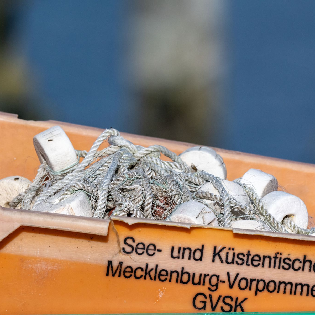 Keine Hiobsbotschaft aus Luxemburg: 2025 bleiben Ausnahmen für Ostseefischer bestehen.  - Foto: Stefan Sauer/dpa