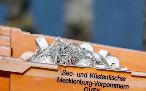 Keine Hiobsbotschaft aus Luxemburg: 2025 bleiben Ausnahmen für Ostseefischer bestehen.  - Foto: Stefan Sauer/dpa