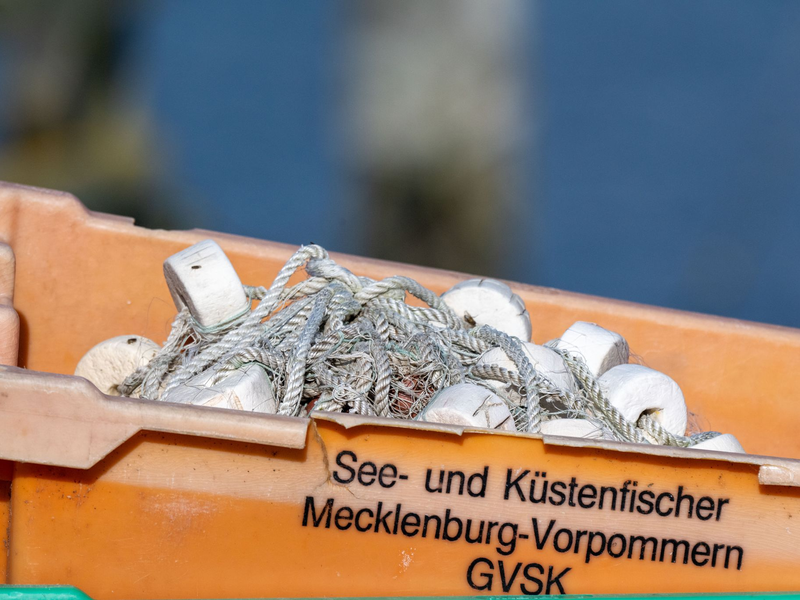 Keine Hiobsbotschaft aus Luxemburg: 2025 bleiben Ausnahmen für Ostseefischer bestehen.  - Foto: Stefan Sauer/dpa