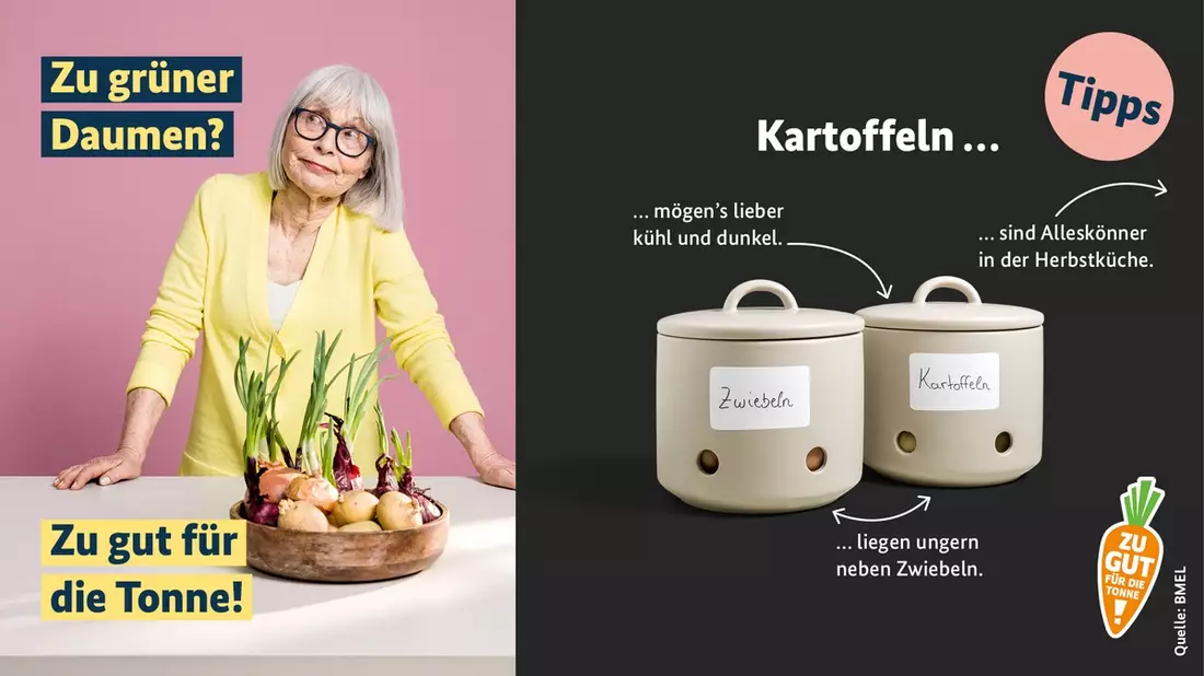 Lieblingsknolle Kartoffel - Bild: presseportal.de