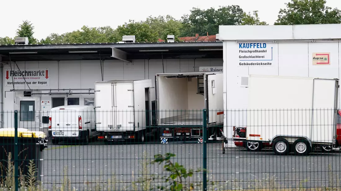 Zwei Tierärztinnen stehen im Zusammenhang mit dem Skandal um den Schlachthof Aschaffenburg vor Gericht. (Archivbild) - Bild: Heiko Becker/dpa