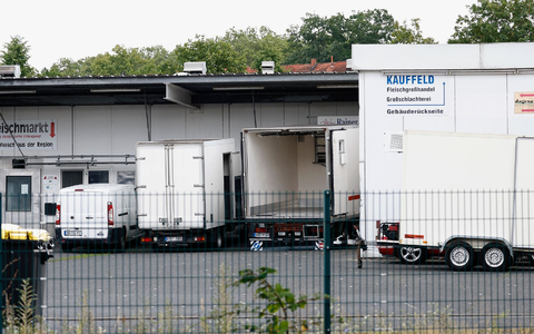 Zwei TierÀrztinnen stehen im Zusammenhang mit dem Skandal um den Schlachthof Aschaffenburg vor Gericht. - Foto: Heiko Becker/dpa Zwei TierÀrztinnen stehen im Zusammenhang mit dem Skandal um den Schlachthof Aschaffenburg vor Gericht. - Foto: Heiko Becker/dpa