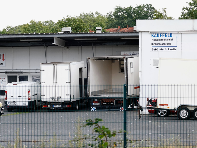 Zwei Tierärztinnen stehen im Zusammenhang mit dem Skandal um den Schlachthof Aschaffenburg vor Gericht. - Foto: Heiko Becker/dpa
