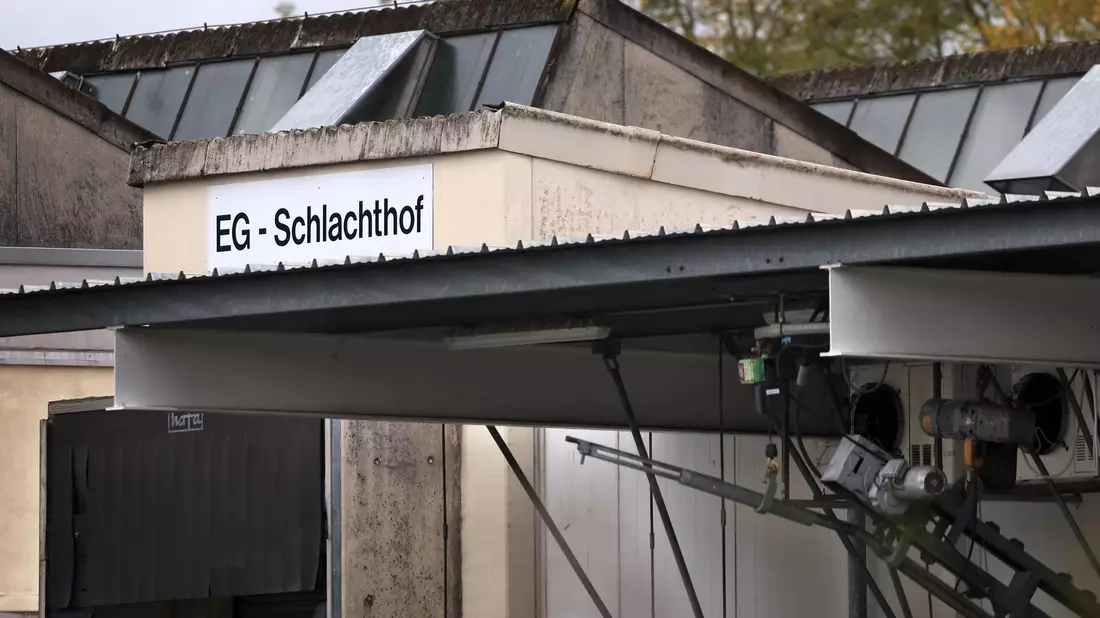 Seit dem Sommer 2023 ist der Schlachthof Aschaffenburg in den Schlagzeilen. - Bild: Karl-Josef Hildenbrand/dpa