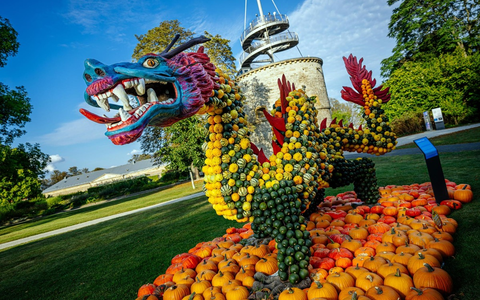 Nicht verpassen - nur noch wenige Tage fabelhafte Kürbisausstellung im egapark Erfurt - Foto: presseportal.de