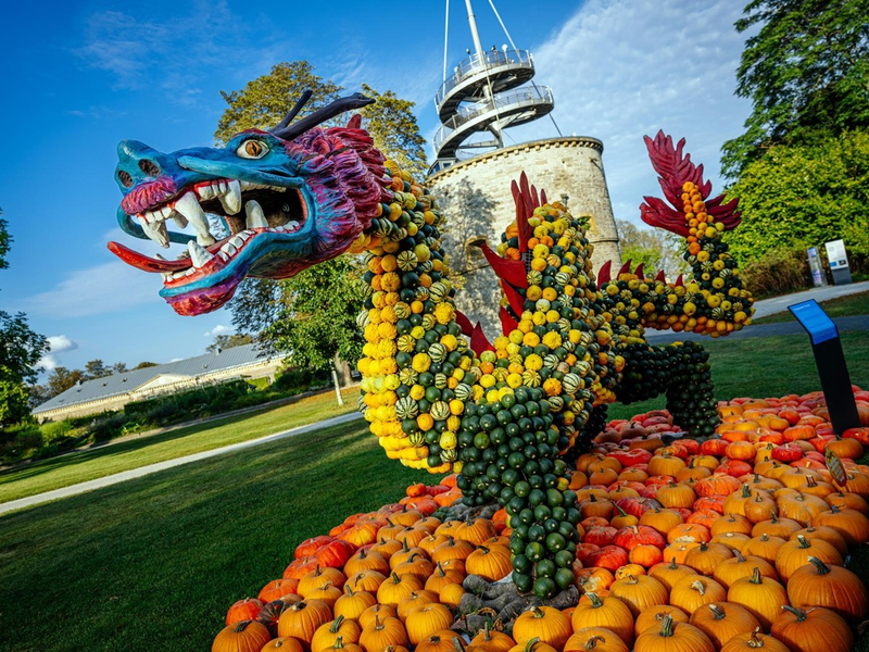 Nicht verpassen - nur noch wenige Tage fabelhafte Kürbisausstellung im egapark Erfurt - Foto: presseportal.de
