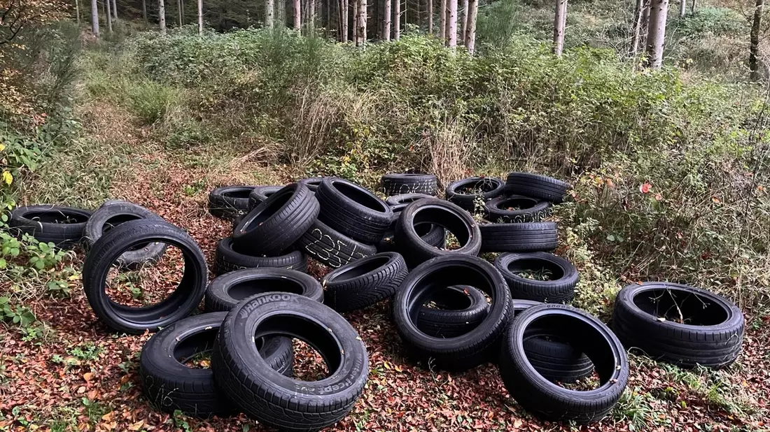 POL-PDLD: Reifenstapel entsorgt - Bild: presseportal.de