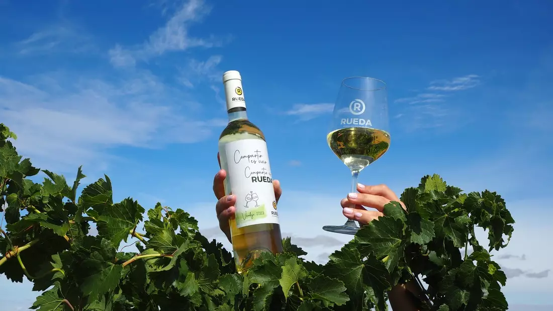 Vorfreude auf Weißwein aus der spanischen Anbauregion Rueda: Die Weinlese verheißt einen ausgezeichneten Jahrgang - Perfekte Bedingungen ermöglichte es den Trauben, langsam und gleichmäßig zu reifen - Bild: presseportal.de