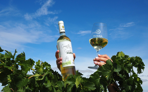 Vorfreude auf Weißwein aus der spanischen Anbauregion Rueda: Die Weinlese verheißt einen ausgezeichneten Jahrgang - Perfekte Bedingungen ermöglichte es den Trauben, langsam und gleichmäßig zu reifen - Foto: presseportal.de