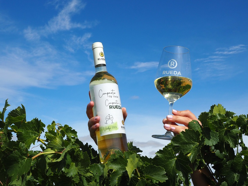 Vorfreude auf Weißwein aus der spanischen Anbauregion Rueda: Die Weinlese verheißt einen ausgezeichneten Jahrgang - Perfekte Bedingungen ermöglichte es den Trauben, langsam und gleichmäßig zu reifen - Foto: presseportal.de