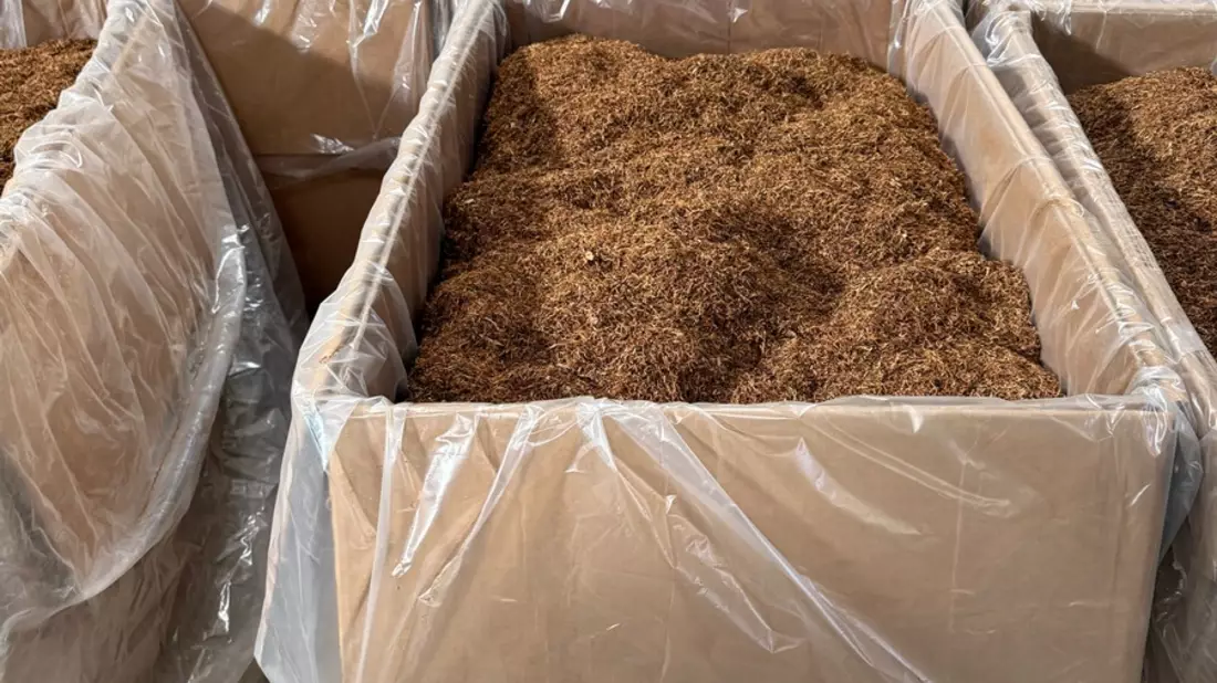 ZOLL-E: Staatsanwaltschaft Wuppertal - Zollfahndung Essen: Schlag gegen internationale illegale Zigarettenproduktion - zwei illegale Zigarettenfabriken - 19 Festnahmen- Steuerschaden in Millionenhöhe - Bild: presseportal.de