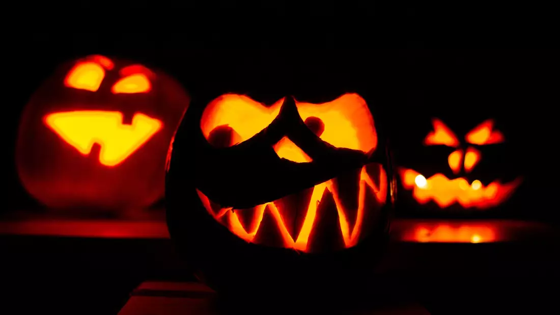 Deutsche wollen laut Handelsverband mehr Geld für Halloween ausgeben. (Archivbild)  - Bild: Ole Spata/dpa