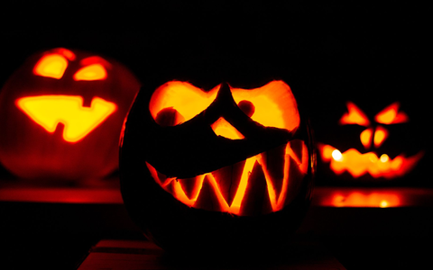Deutsche wollen laut Handelsverband mehr Geld für Halloween ausgeben. (Archivbild)  - Foto: Ole Spata/dpa