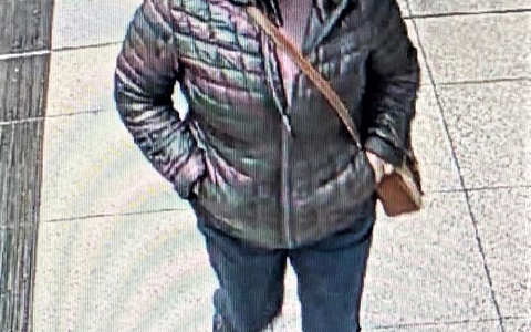 POL-WL: Öffentlichkeitsfahndung nach vermisster 74-Jähriger - Foto: presseportal.de