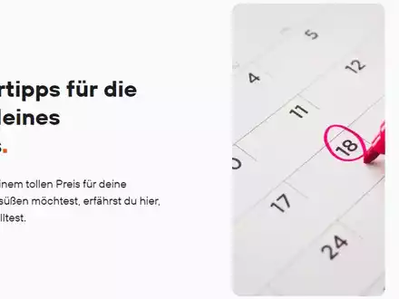 Kokospalme statt Nordmanntanne: Wann ist der beste Buchungszeitpunkt für den Weihnachtstrip 2024? - Foto: presseportal.de