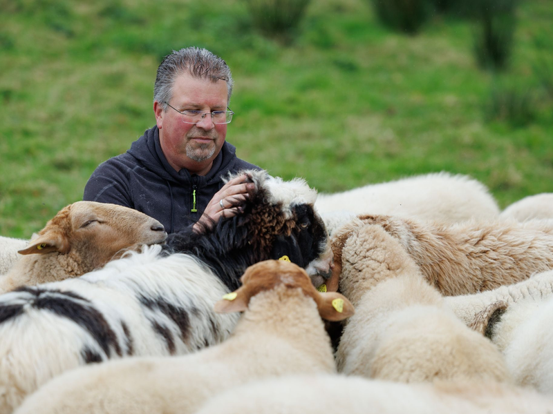 Schäfer Michael Stücke kam zufällig zur Schäferei, als er mit drei Schafen für ein gepflügtes Feld bezahlt wurde (Foto aktuell). - Foto: Friso Gentsch/dpa