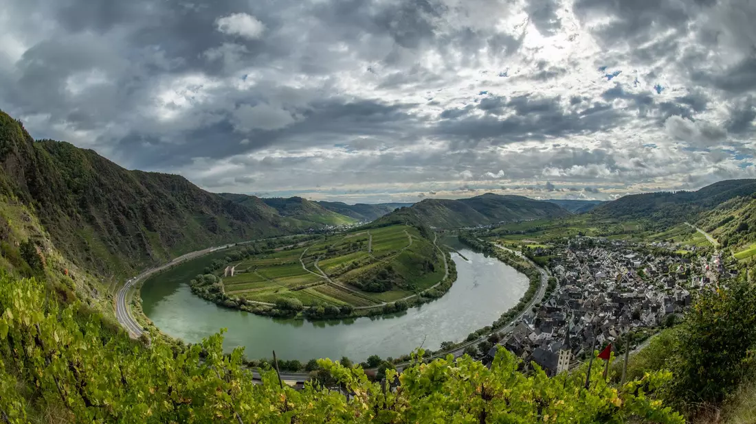 Bei der Entwicklung des Weinbaus muss nach Ansicht von Experten auch der Tourismus bedacht werden. (Archivbild) - Bild: Boris Roessler/dpa