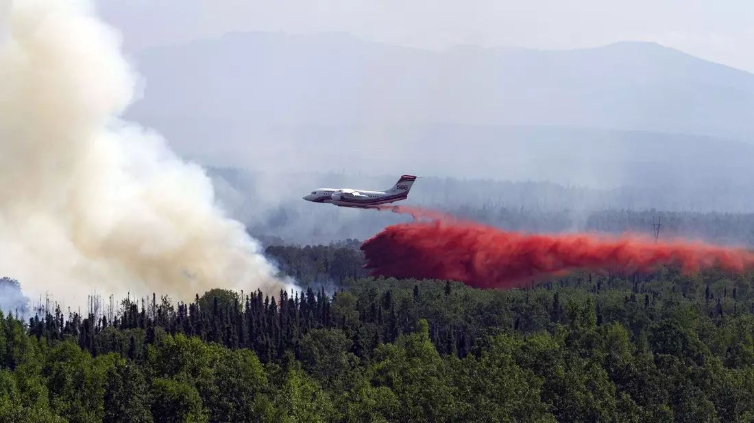 Waldbrände setzten 2023 zusätzlich CO2 frei (Archivbild) - Bild: Michael Risinger/Zuma Press/dpa
