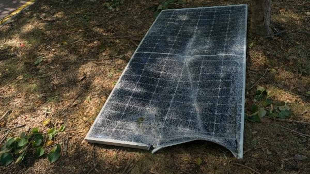  - Foto: Bildquelle: stock.adobe.com © Mariia Human