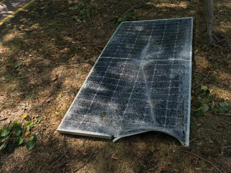  - Foto: Bildquelle: stock.adobe.com © Mariia Human